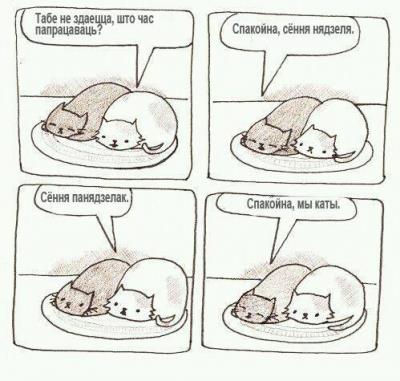 Прикрепленное изображение: CAT-MONDAY.jpg